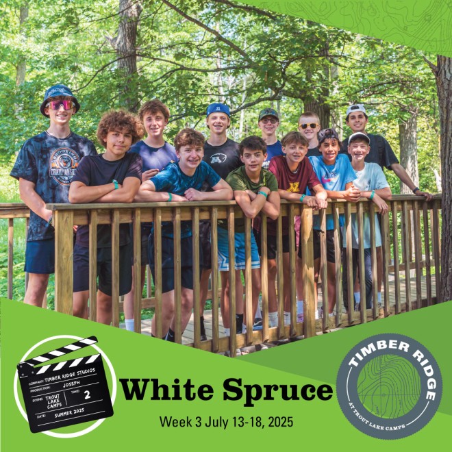 White Spruce